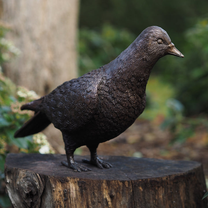 Bronzeskulptur: Taube