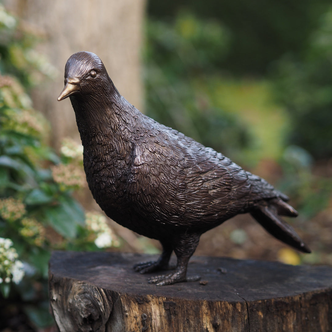 Bronzeskulptur: Taube