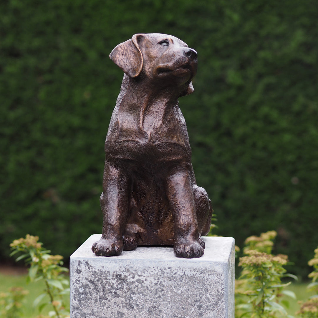 Bronzeskulptur: Welpe