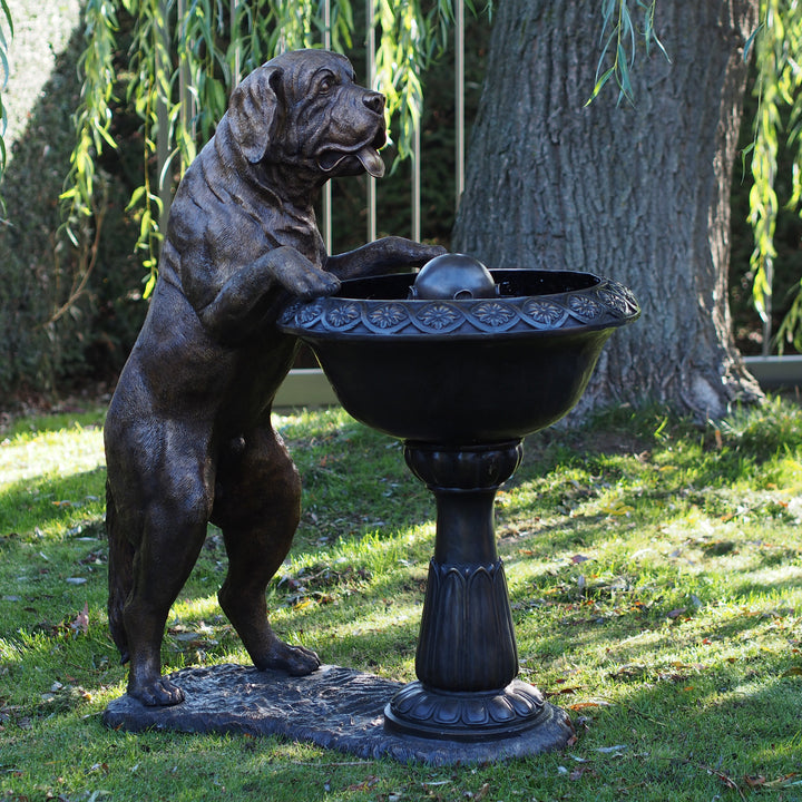 Bronzeskulptur: Hund am Springbrunnen