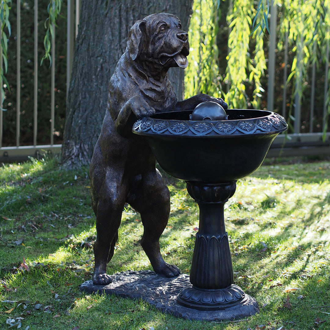 Bronzeskulptur: Hund am Springbrunnen