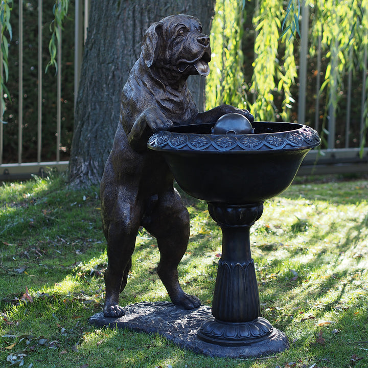 Bronzeskulptur: Hund am Springbrunnen